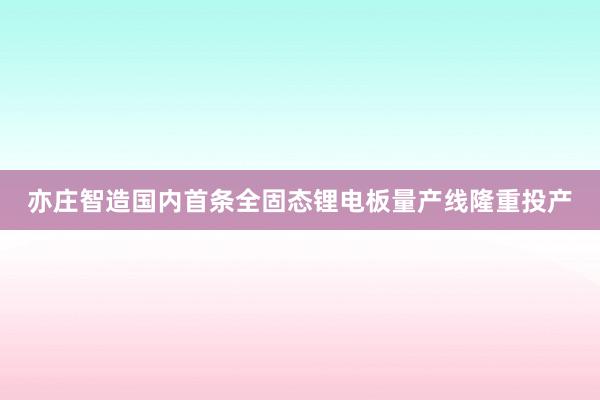 亦庄智造国内首条全固态锂电板量产线隆重投产