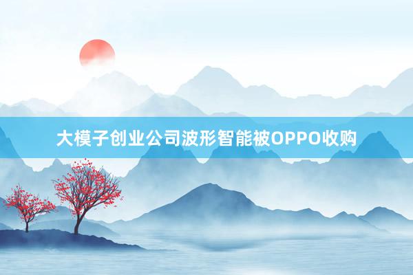 大模子创业公司波形智能被OPPO收购