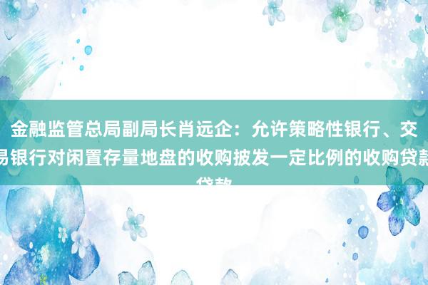 金融监管总局副局长肖远企：允许策略性银行、交易银行对闲置存量地盘的收购披发一定比例的收购贷款