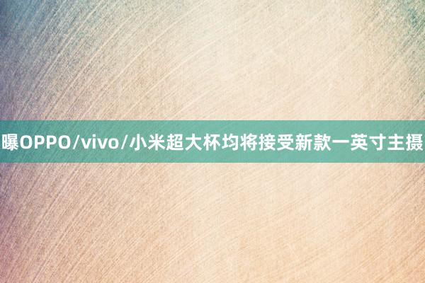 曝OPPO/vivo/小米超大杯均将接受新款一英寸主摄