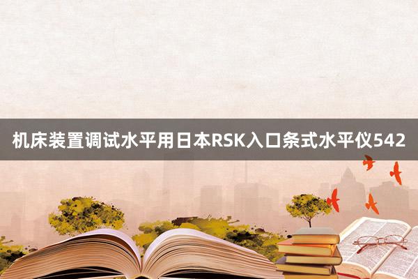 机床装置调试水平用日本RSK入口条式水平仪542