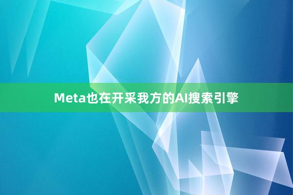 Meta也在开采我方的AI搜索引擎