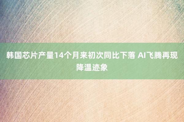 韩国芯片产量14个月来初次同比下落 AI飞腾再现降温迹象