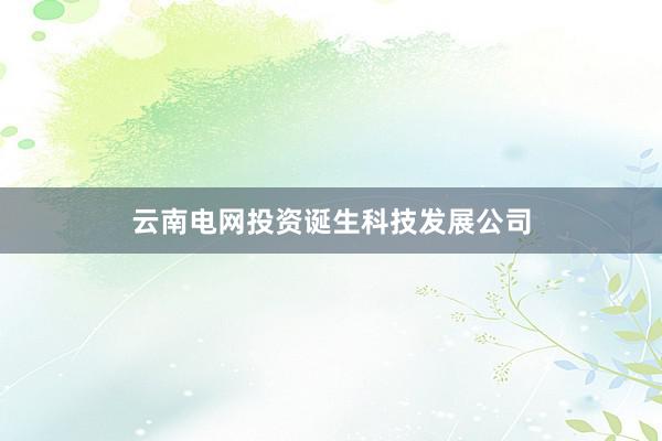 云南电网投资诞生科技发展公司