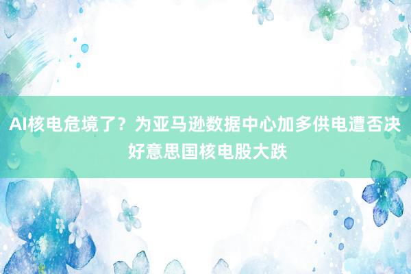 AI核电危境了？为亚马逊数据中心加多供电遭否决 好意思国核电股大跌