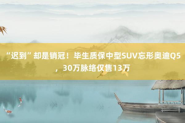 “迟到”却是销冠！毕生质保中型SUV忘形奥迪Q5，30万脉络仅售13万