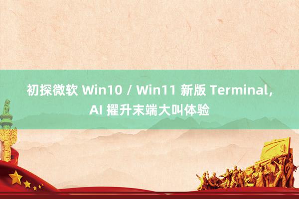 初探微软 Win10 / Win11 新版 Terminal，AI 擢升末端大叫体验