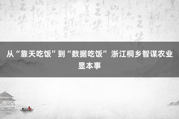 从“靠天吃饭”到“数据吃饭” 浙江桐乡智谋农业显本事