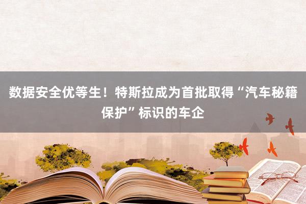 数据安全优等生！特斯拉成为首批取得“汽车秘籍保护”标识的车企