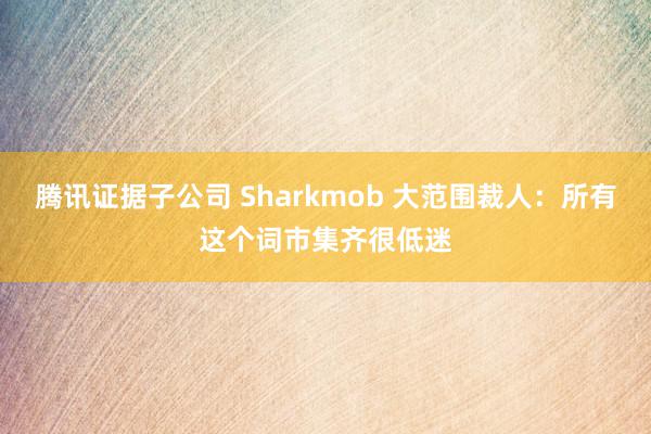 腾讯证据子公司 Sharkmob 大范围裁人：所有这个词市集齐很低迷