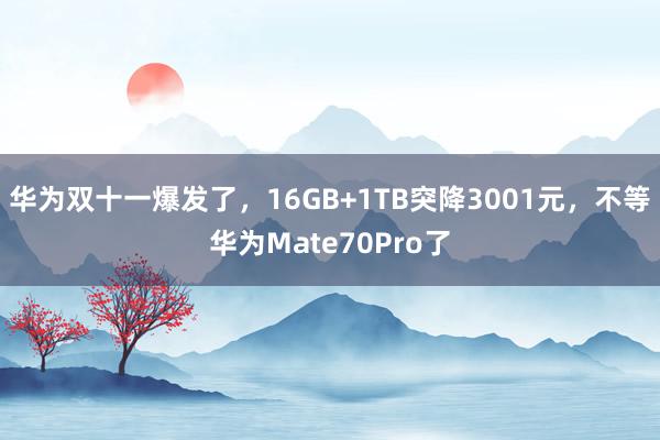 华为双十一爆发了，16GB+1TB突降3001元，不等华为Mate70Pro了