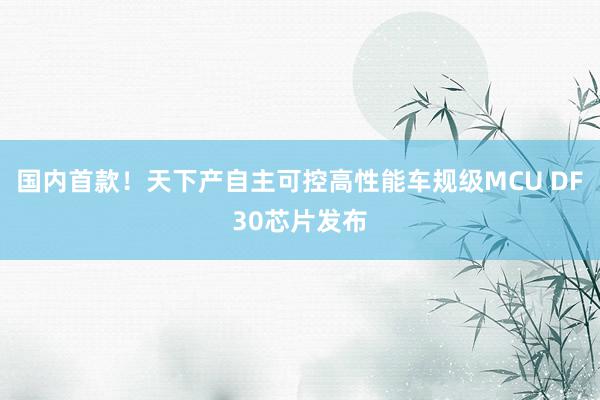 国内首款！天下产自主可控高性能车规级MCU DF30芯片发布