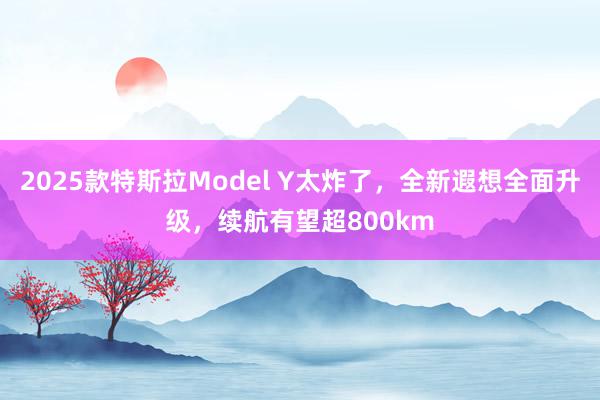 2025款特斯拉Model Y太炸了，全新遐想全面升级，续航有望超800km