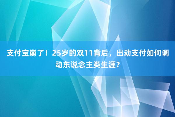 支付宝崩了！25岁的双11背后，出动支付如何调动东说念主类生涯？