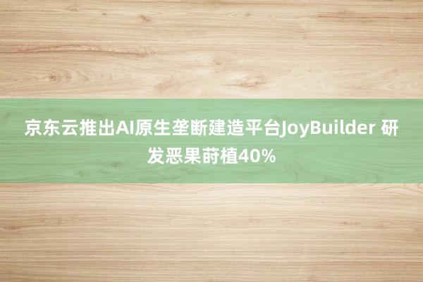 京东云推出AI原生垄断建造平台JoyBuilder 研发恶果莳植40%