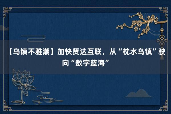 【乌镇不雅潮】加快贤达互联，从“枕水乌镇”驶向“数字蓝海”