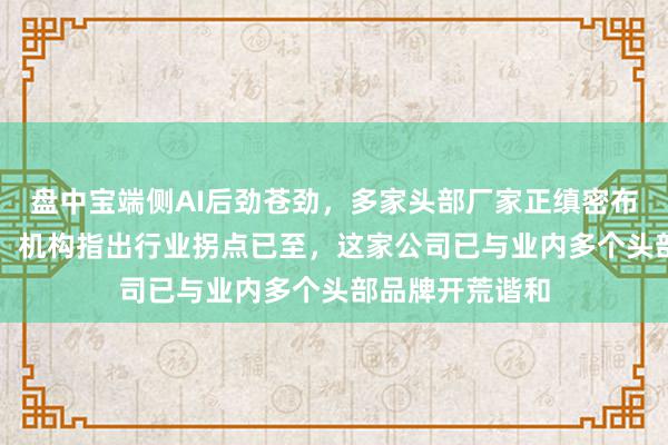 盘中宝端侧AI后劲苍劲，多家头部厂家正缜密布局该AI赛说念，机构指出行业拐点已至，这家公司已与业内多个头部品牌开荒谐和