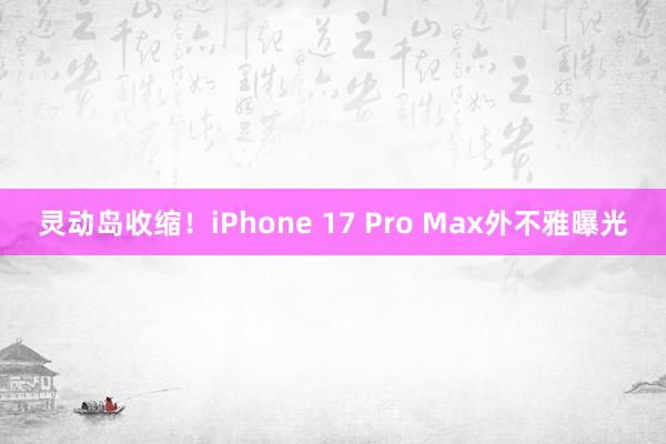 灵动岛收缩！iPhone 17 Pro Max外不雅曝光