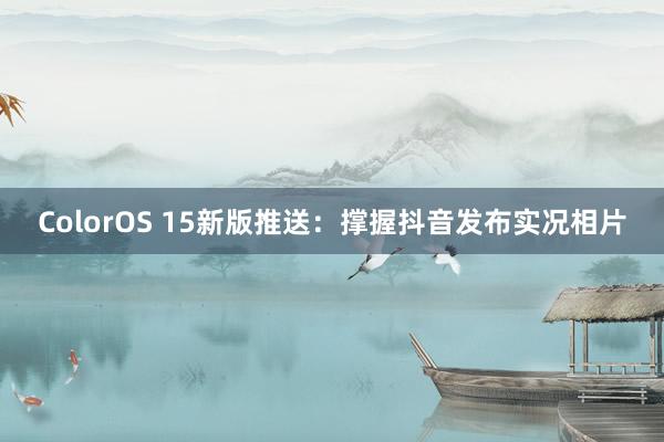 ColorOS 15新版推送：撑握抖音发布实况相片