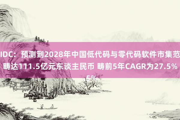 IDC：预测到2028年中国低代码与零代码软件市集范畴达111.5亿元东谈主民币 畴前5年CAGR为27.5%