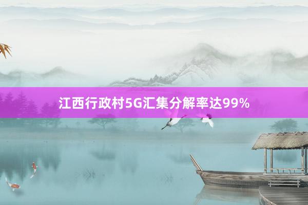 江西行政村5G汇集分解率达99%