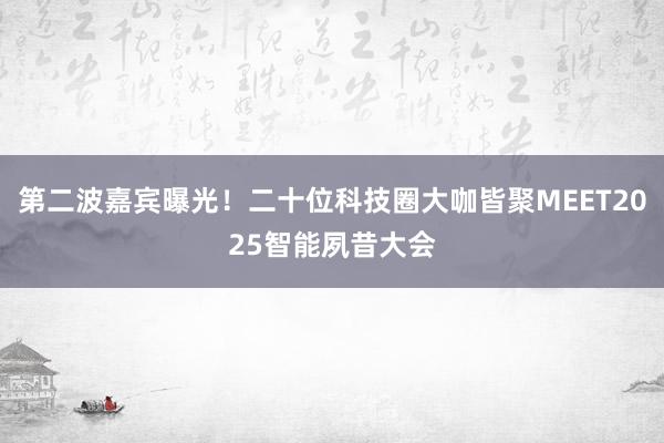 第二波嘉宾曝光！二十位科技圈大咖皆聚MEET2025智能夙昔大会