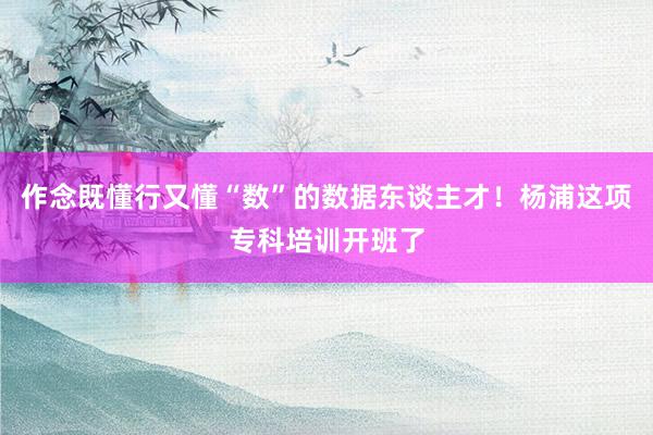 作念既懂行又懂“数”的数据东谈主才！杨浦这项专科培训开班了