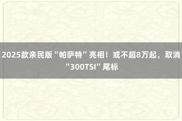 2025款亲民版“帕萨特”亮相！或不超8万起，取消“300TSI”尾标