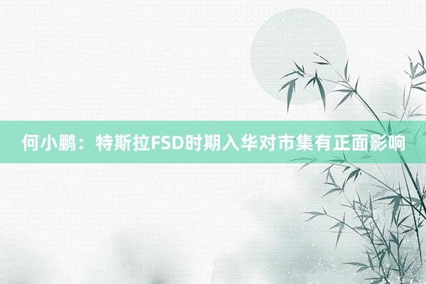 何小鹏：特斯拉FSD时期入华对市集有正面影响