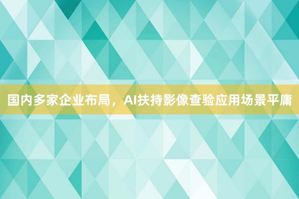 国内多家企业布局，AI扶持影像查验应用场景平庸