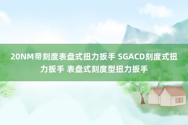 20NM带刻度表盘式扭力扳手 SGACD刻度式扭力扳手 表盘式刻度型扭力扳手