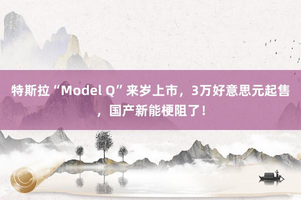 特斯拉“Model Q”来岁上市，3万好意思元起售，国产新能梗阻了！