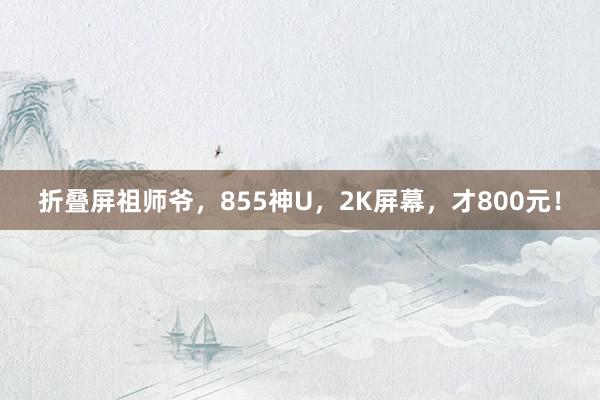 折叠屏祖师爷，855神U，2K屏幕，才800元！