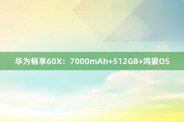 华为畅享60X：7000mAh+512GB+鸿蒙OS