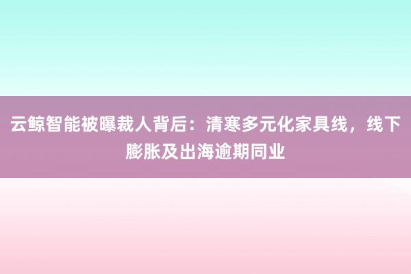 云鲸智能被曝裁人背后：清寒多元化家具线，线下膨胀及出海逾期同业