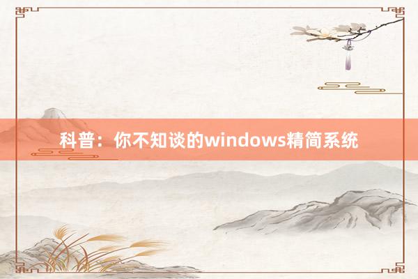 科普：你不知谈的windows精简系统