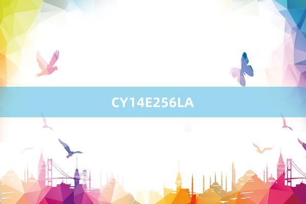 CY14E256LA