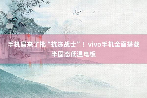 手机届来了批“抗冻战士”！vivo手机全面搭载半固态低温电板