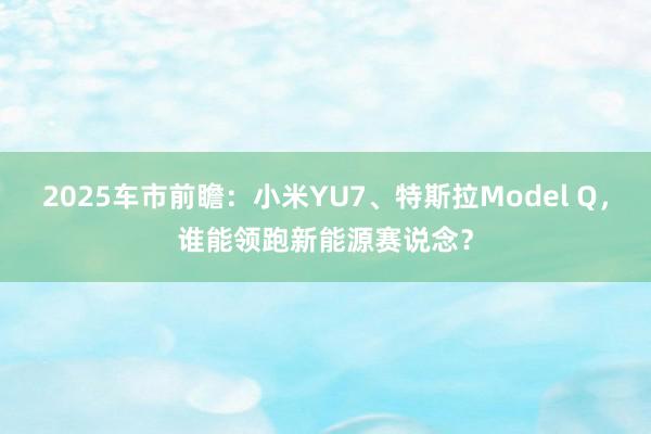 2025车市前瞻：小米YU7、特斯拉Model Q，谁能领跑新能源赛说念？