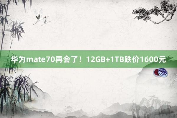 华为mate70再会了！12GB+1TB跌价1600元