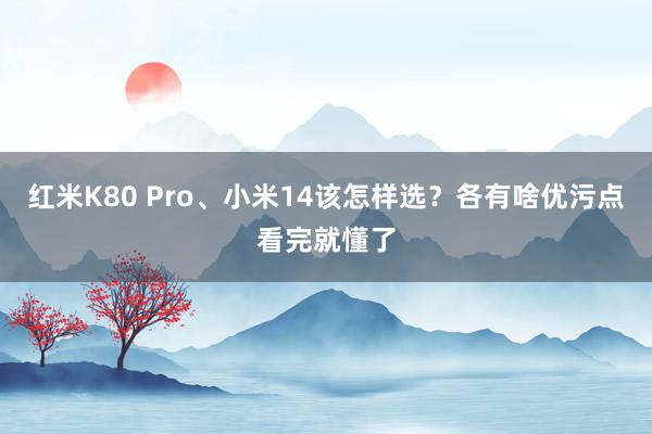 红米K80 Pro、小米14该怎样选？各有啥优污点看完就懂了