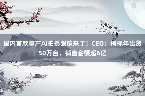 国内首款量产AI拍摄眼镜来了！CEO：指标年出货50万台，销售金额超6亿