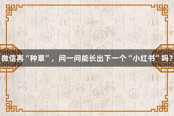 微信再“种草”，问一问能长出下一个“小红书”吗？