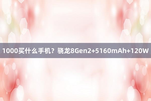 1000买什么手机？骁龙8Gen2+5160mAh+120W