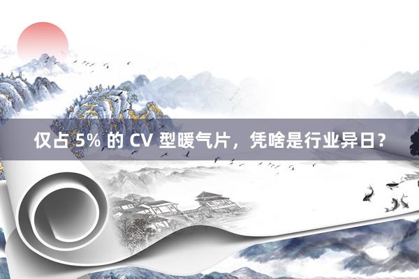 仅占 5% 的 CV 型暖气片，凭啥是行业异日？