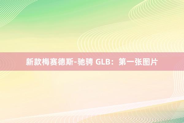 新款梅赛德斯-驰骋 GLB：第一张图片