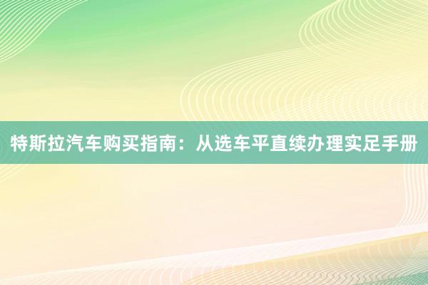 特斯拉汽车购买指南：从选车平直续办理实足手册