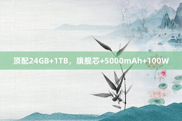 顶配24GB+1TB，旗舰芯+5000mAh+100W