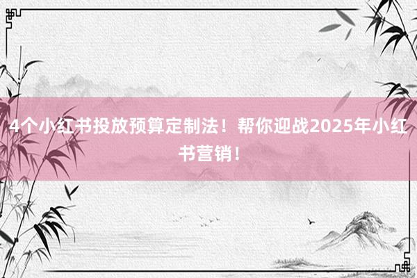 4个小红书投放预算定制法！帮你迎战2025年小红书营销！