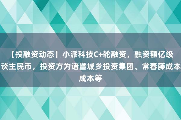 【投融资动态】小派科技C+轮融资，融资额亿级东谈主民币，投资方为诸暨城乡投资集团、常春藤成本等